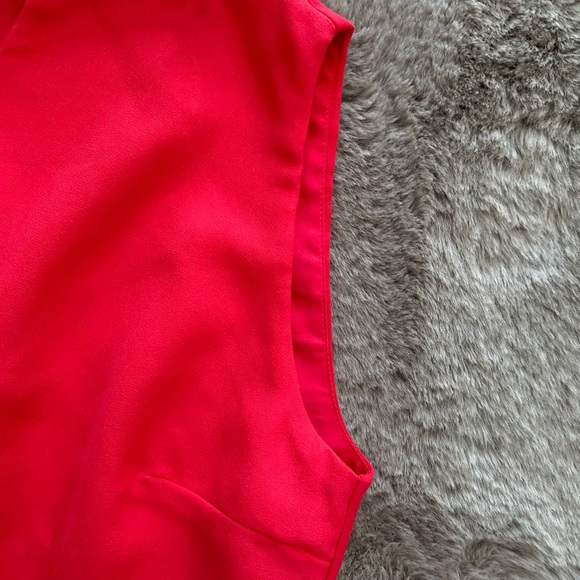 Dex women’s dress A line w back details Size Large (12) lined - Picture 3 of 7